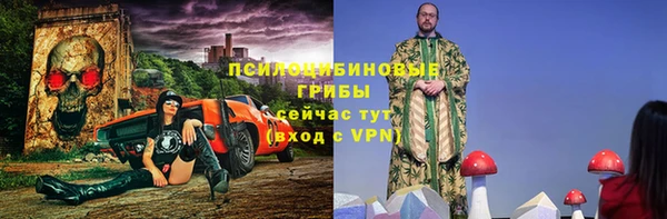 СК Россошь